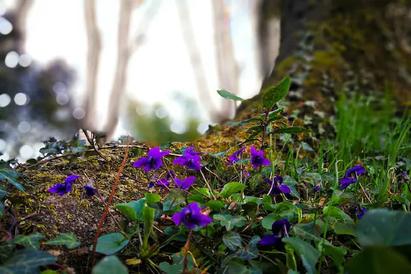 Photo de Bruce Kee sur Unsplash