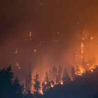 Feux de forêt : ayons les bons reflexes !