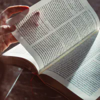 Nouveautés de votre médiathèque