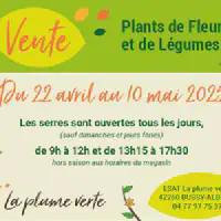 Vente de plants de légumes et de fleurs à Bussy-Albieux 🪴 🌼