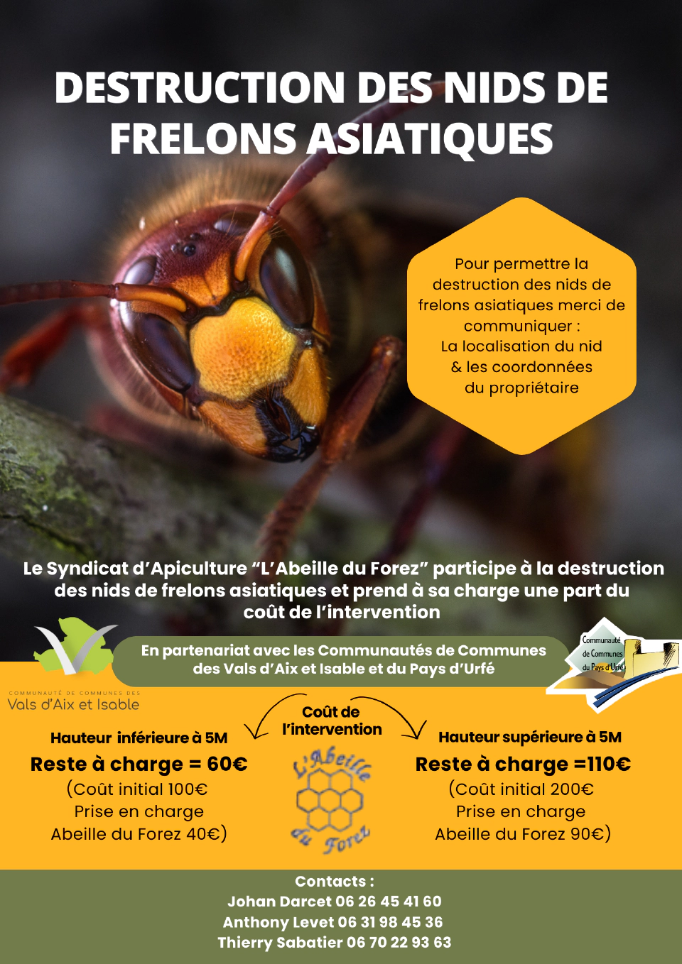 Destruction nids frelons