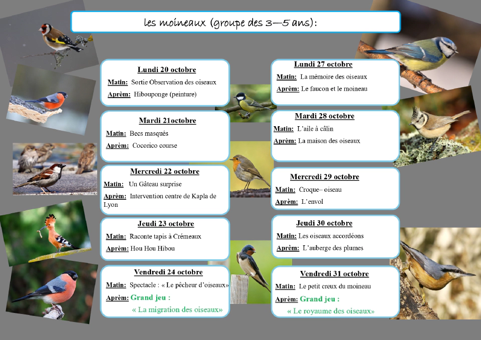 Programme 3 Automne 2025