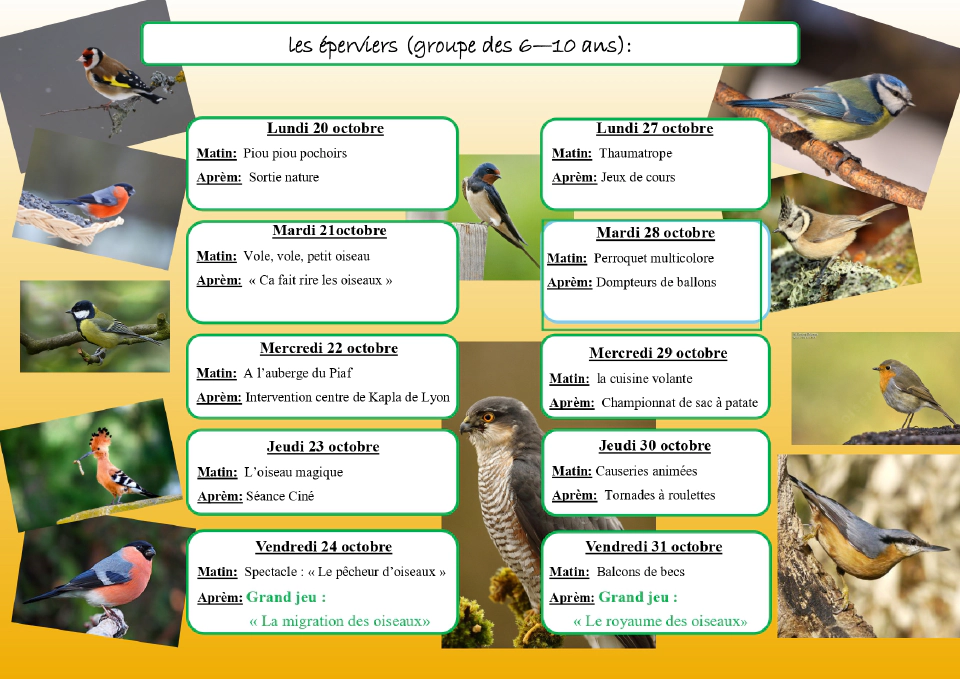 Programme 4 Automne 2025